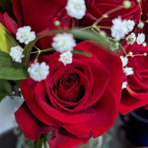 Meet your Posher, Abigail